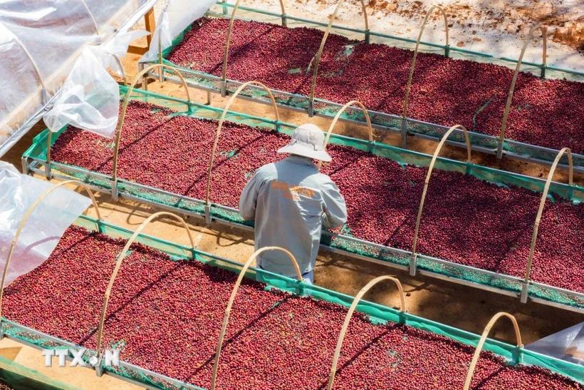 thi-truong-hang-hoa-nguyen-lieu-hang-hoa-duoc-ky-vong-se-tiep-tuc-phuc-hoi