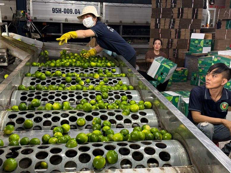 cai-thien-cong-nghe-bao-quan-nong-san-de-giam-chi-phi-xuat-khau