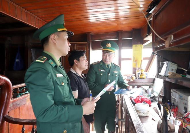 Quyết tâm gỡ 'thẻ vàng' IUU: Bước tiến lớn của ngành thủy sản Nghệ An