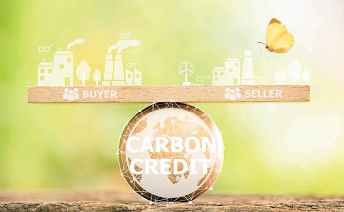 Cuộc chơi tín chỉ carbon: Người tiêu dùng âm thầm “móc hầu bao”