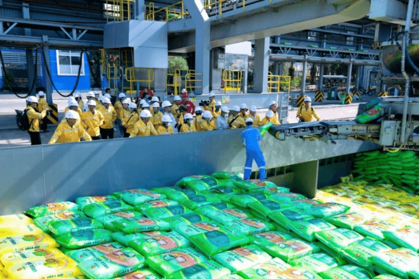 doanh-nghiep-phan-bon-on-dinh-gia-ban-du-gia-nguyen-lieu-nhap-khau-tang