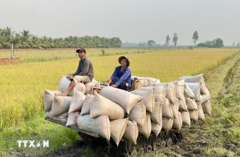 thu-truong-phung-duc-tien-nong-nghiep-viet-nam-se-co-giai-doan-phat-trien-vuot-bac