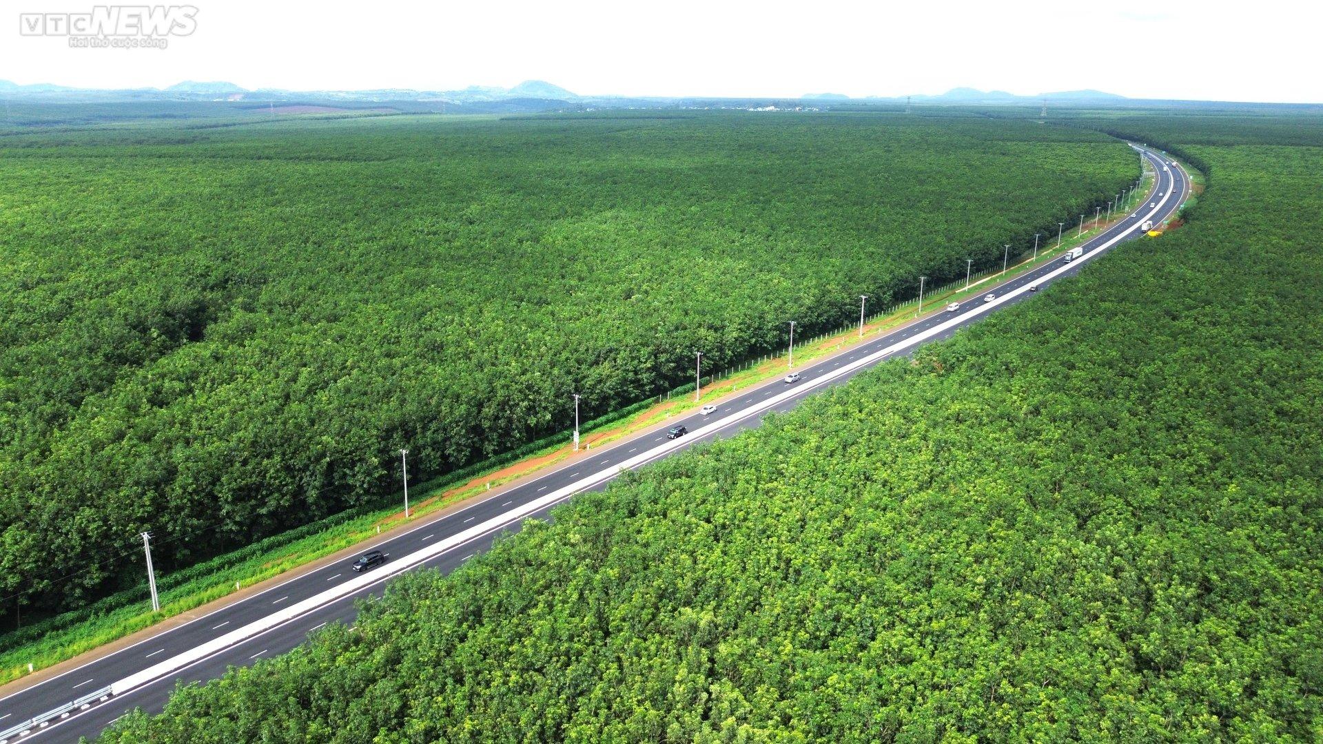 dong-nai-muon-lap-khu-thuong-mai-tu-do-gan-san-bay-long-thanh