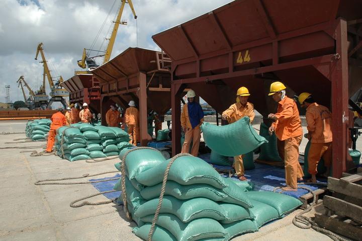 Tạo hành lang pháp lý thuận lợi nhất cho hoạt động xuất khẩu gạo