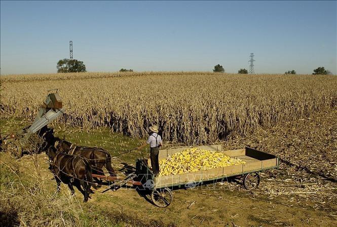 Mỹ chi 700 triệu USD để triển khai canh tác tái sinh