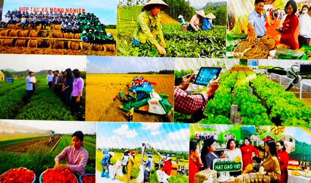 kien-toan-to-chuc-va-hoat-dong-cua-quy-ho-tro-nong-dan-trung-uong