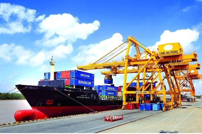 Xuất nhập khẩu hàng hóa đạt 555 tỷ USD