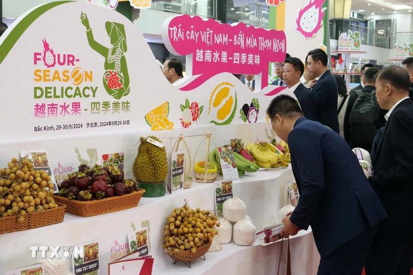 75 năm quan hệ Việt Nam-Trung Quốc: Hợp tác kinh tế tiếp tục là điểm sáng