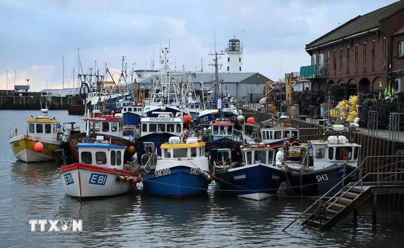 anh-va-eu-doi-dau-lan-dau-tien-tai-toa-an-ve-quyen-danh-bat-ca-sau-brexit