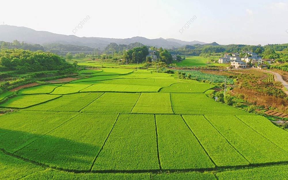 Đồng loạt kiến nghị giảm sâu tiền chuyển đổi mục đích sử dụng đất
