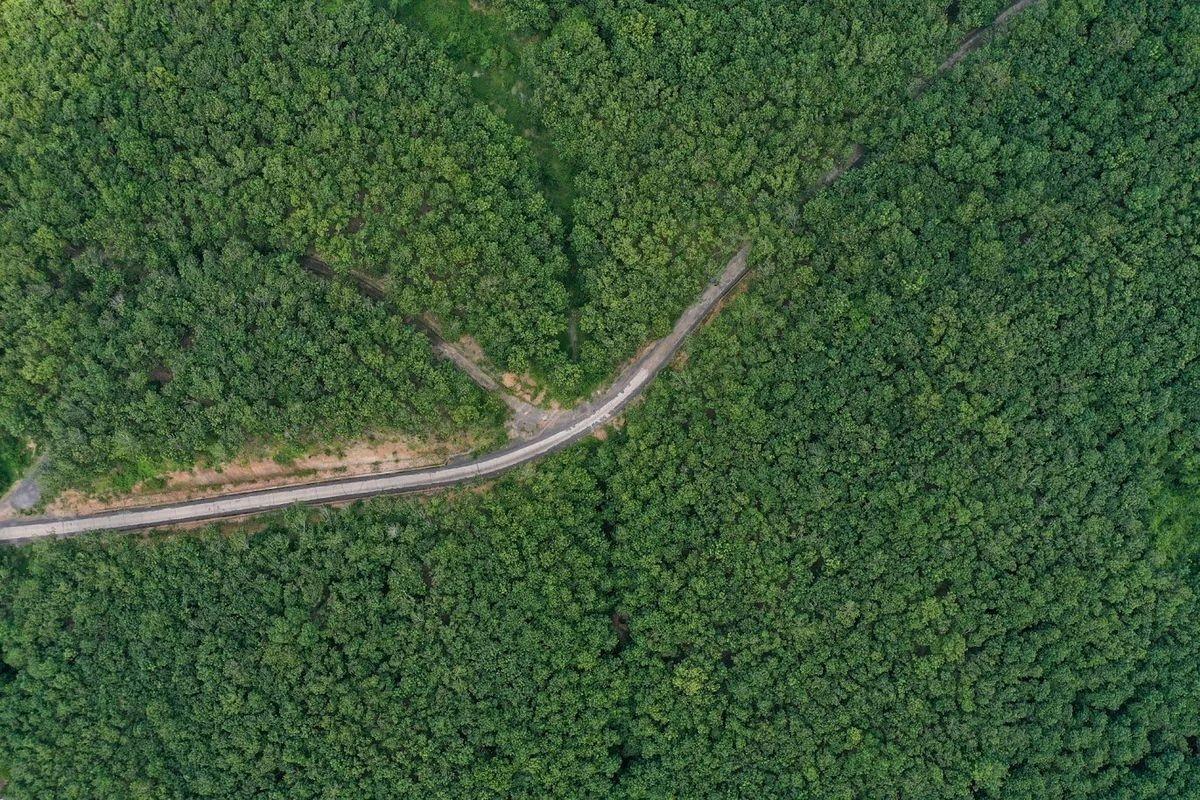 phat-trien-chuoi-gia-tri-xanh-la-xu-huong-tat-yeu-trong-tien-trinh-chuyen-doi-nong-nghiep