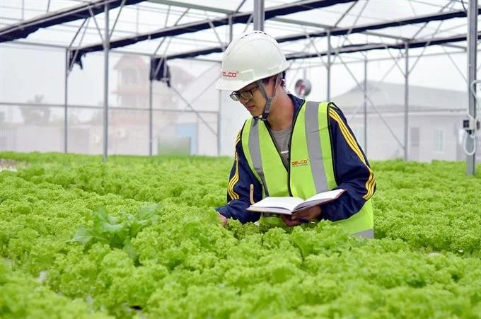 Startup xanh Việt Nam: Rủi ro đầu tư cao, khó tiếp cận vốn