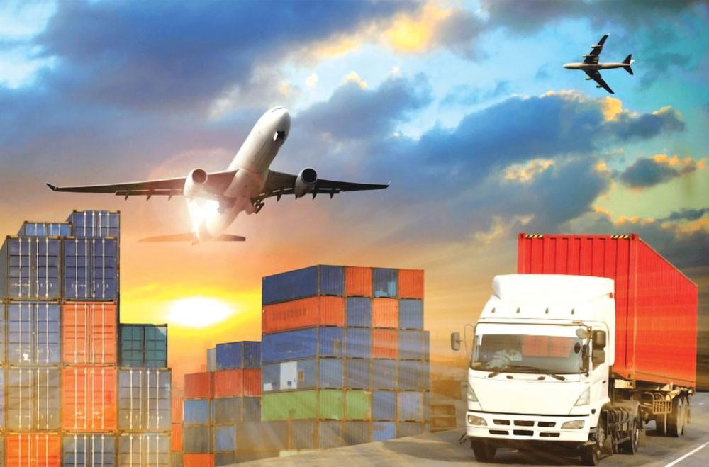 xuat-nhap-khau-chap-canh-uoc-mo-hoa-rong