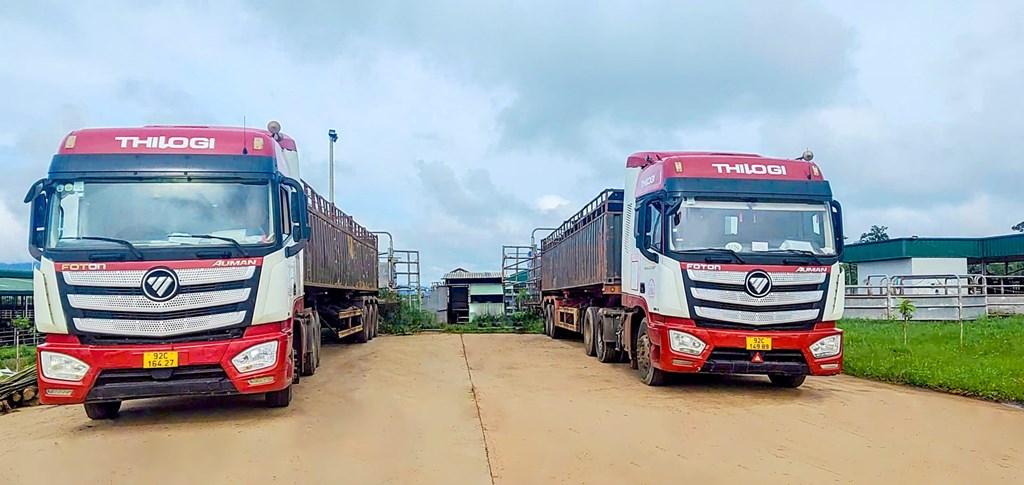 THILOGI vận chuyển hơn 2.800 con bò sang Campuchia