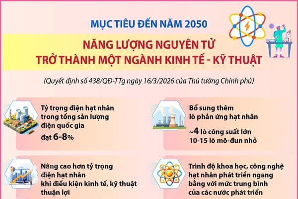 muc-tieu-den-nam-2050-nang-luong-nguyen-tu-tro-thanh-mot-nganh-kinh-te-ky-thuat