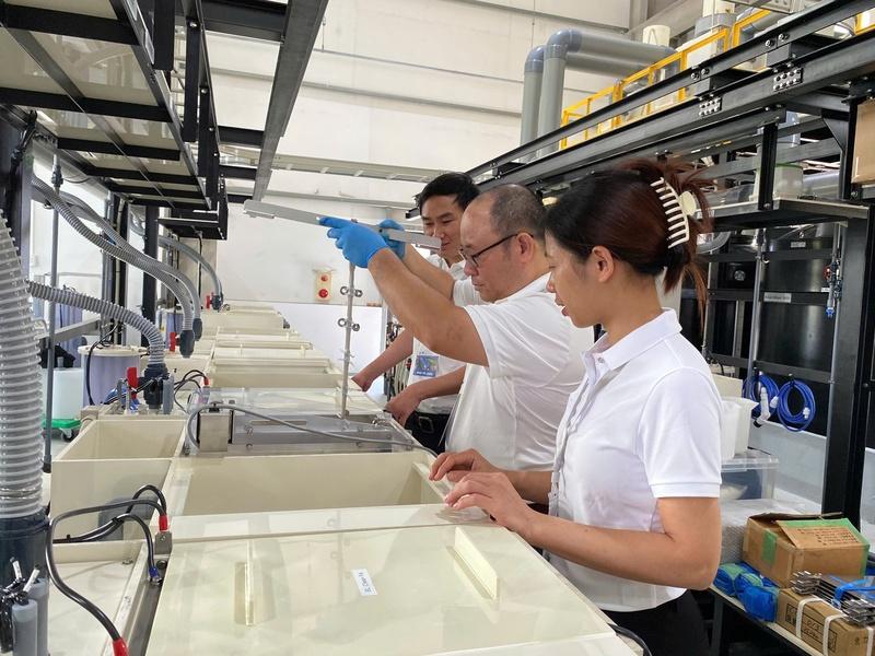 Tận dụng ‘làn sóng lớn’ để doanh nghiệp vươn xa chuỗi giá trị toàn cầu