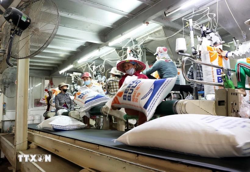 thi-truong-nong-san-gia-gao-xuat-khau-duoi-400-usdtan