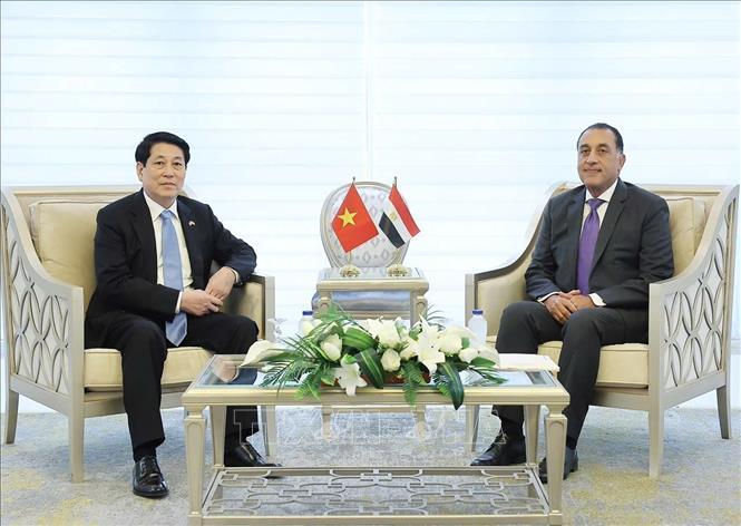nhat-tri-day-manh-hop-tac-kinh-te-viet-nam-ai-cap-theo-huong-ben-vung-cung-co-loi