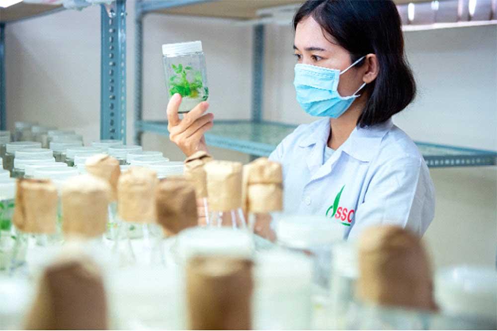 Chủ tịch Tập đoàn Vinaseed: Chuyển mình để dẫn đầu, không phải để tồn tại