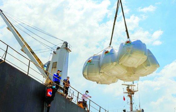 xuat-khau-gao-thu-ve-178-ty-usd-sau-4-thang-dau-nam-2025