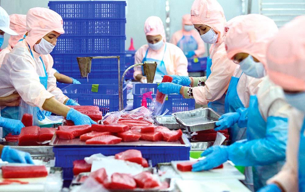 doanh-nghiep-dau-tu-cho-thuong-mai-ben-vung