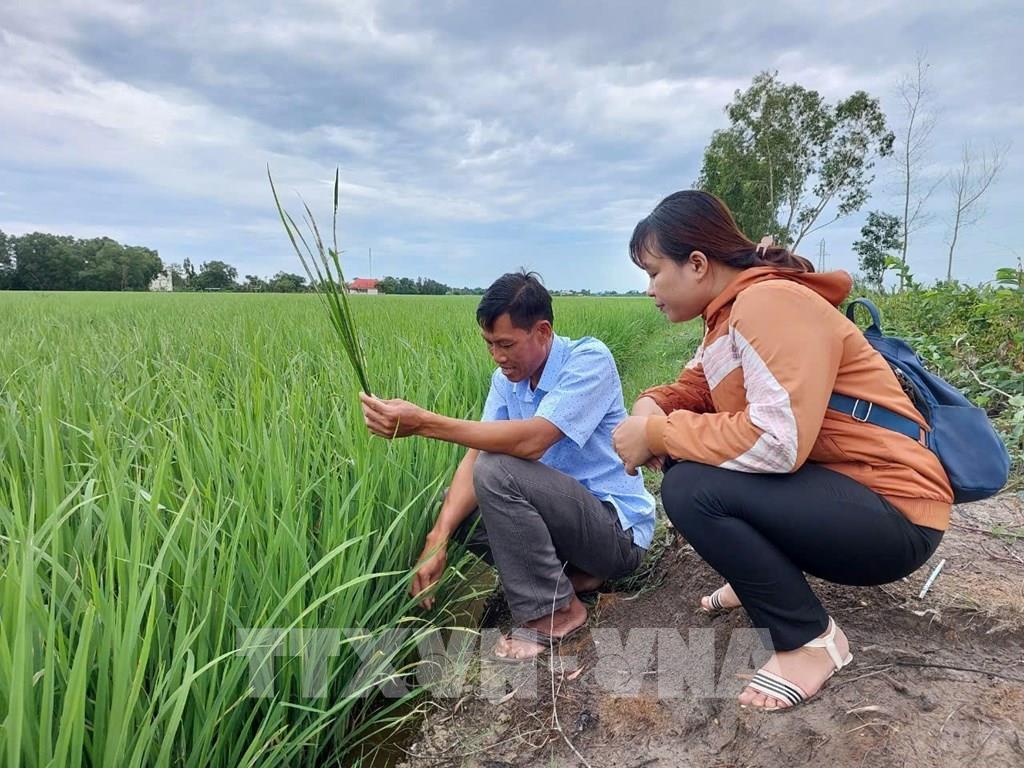 "Giấy thông hành" cho sản phẩm nông, thủy sản tiếp cận thị trường quốc tế