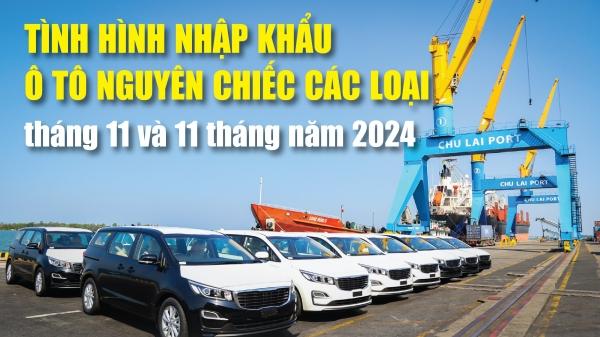 infographics-viet-nam-nhap-khau-160729-o-to-nguyen-chiec-cac-loai-trong-11-thang-nam-2024