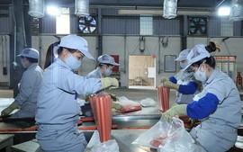 xac-dinh-thoi-gian-lam-viec-de-dong-bhxh