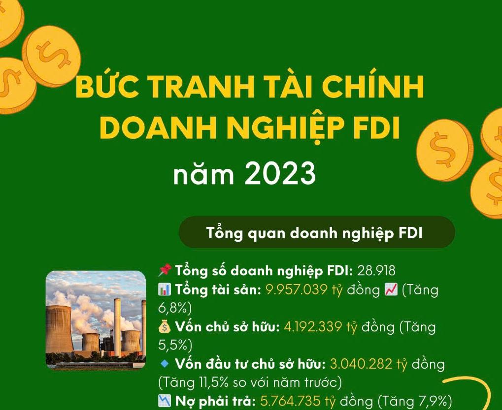 Bức tranh tài chính doanh nghiệp FDI năm 2023