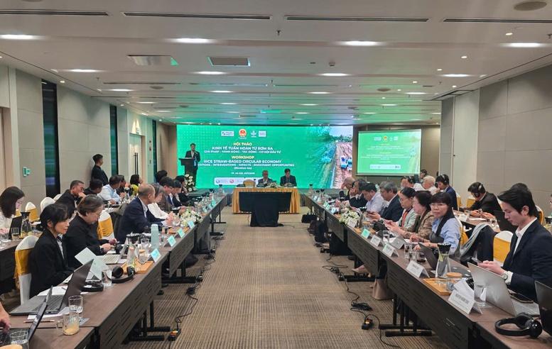 Kinh tế tuần hoàn từ rơm rạ mở lối cho nông nghiệp phát thải thấp