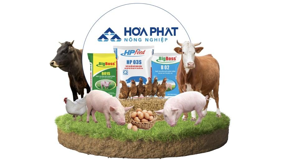 dang-sau-quyet-dinh-ipo-cua-nong-nghiep-hoa-phat