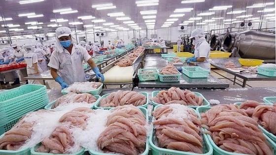 Điểm những mặt hàng hưởng lợi thuế quan khi xuất khẩu sang Israel