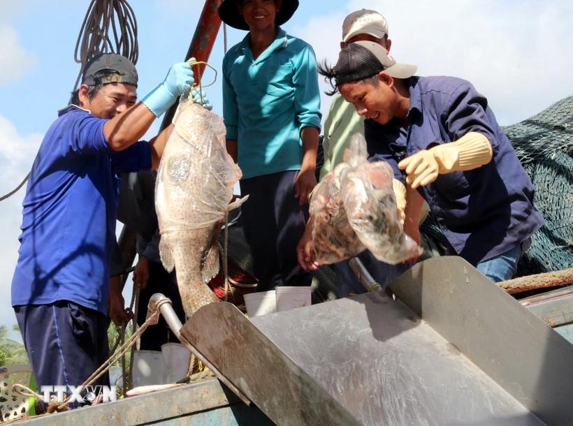 khac-phuc-the-vang-iuu-kien-giang-co-nhieu-chuyen-bien-tich-cuc