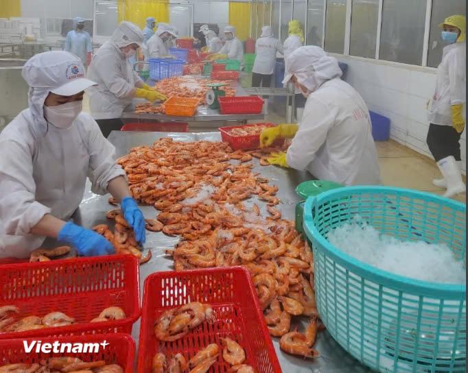 Standard Chartered điều chỉnh dự báo tăng trưởng kinh tế Việt Nam năm 2025