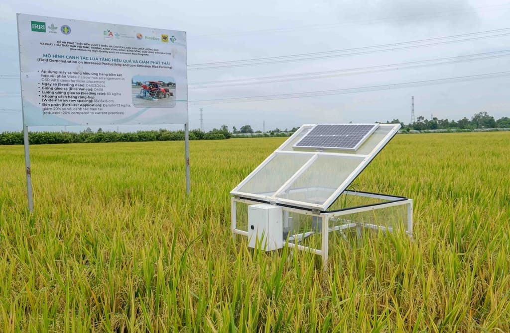 chuyen-doi-so-va-cong-nghe-nang-tam-canh-bao-thien-tai