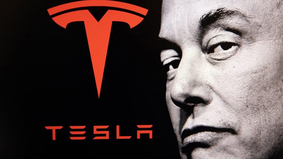 song-gio-cuoc-dua-xe-dien-loat-ong-lon-rut-tesla-cheo-chong-de-song-sot