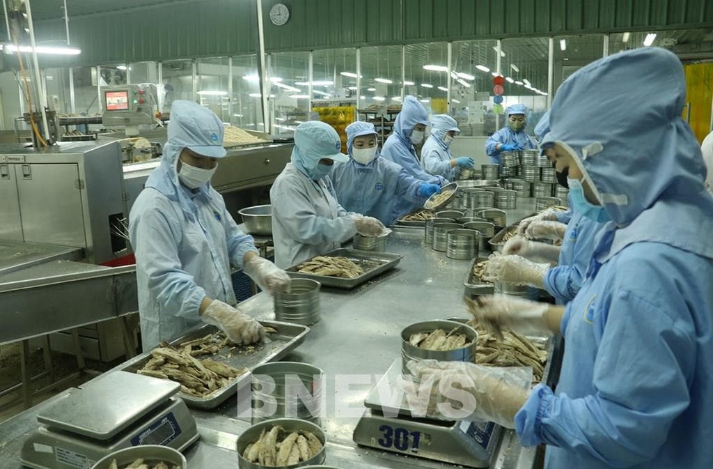 Hàng Việt trước yêu cầu mới: Không minh bạch, khó đi xa