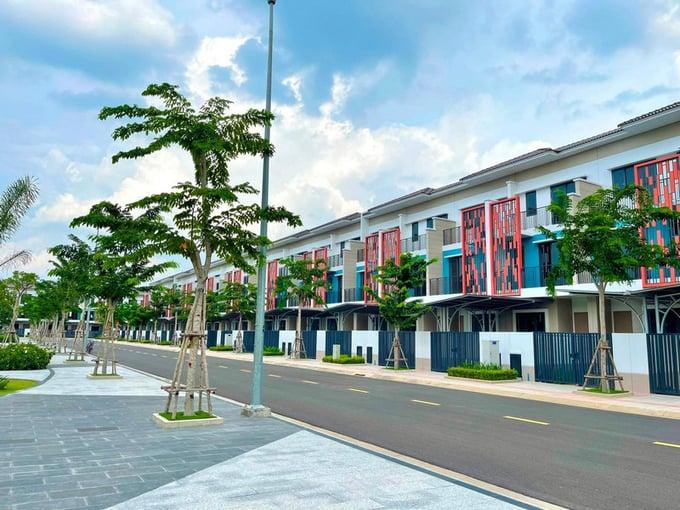 can-trong-voi-chieu-tro-day-gia-bat-dong-san