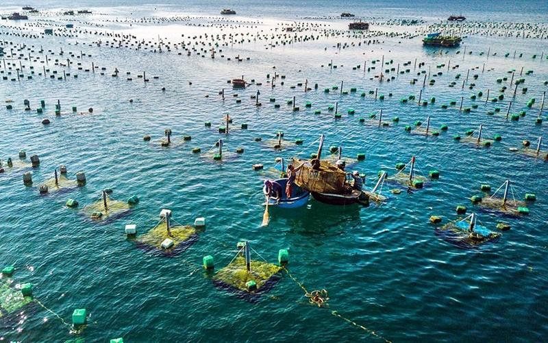 Việt Nam đề nghị Hoa Kỳ xem xét khách quan về thương mại thủy sản