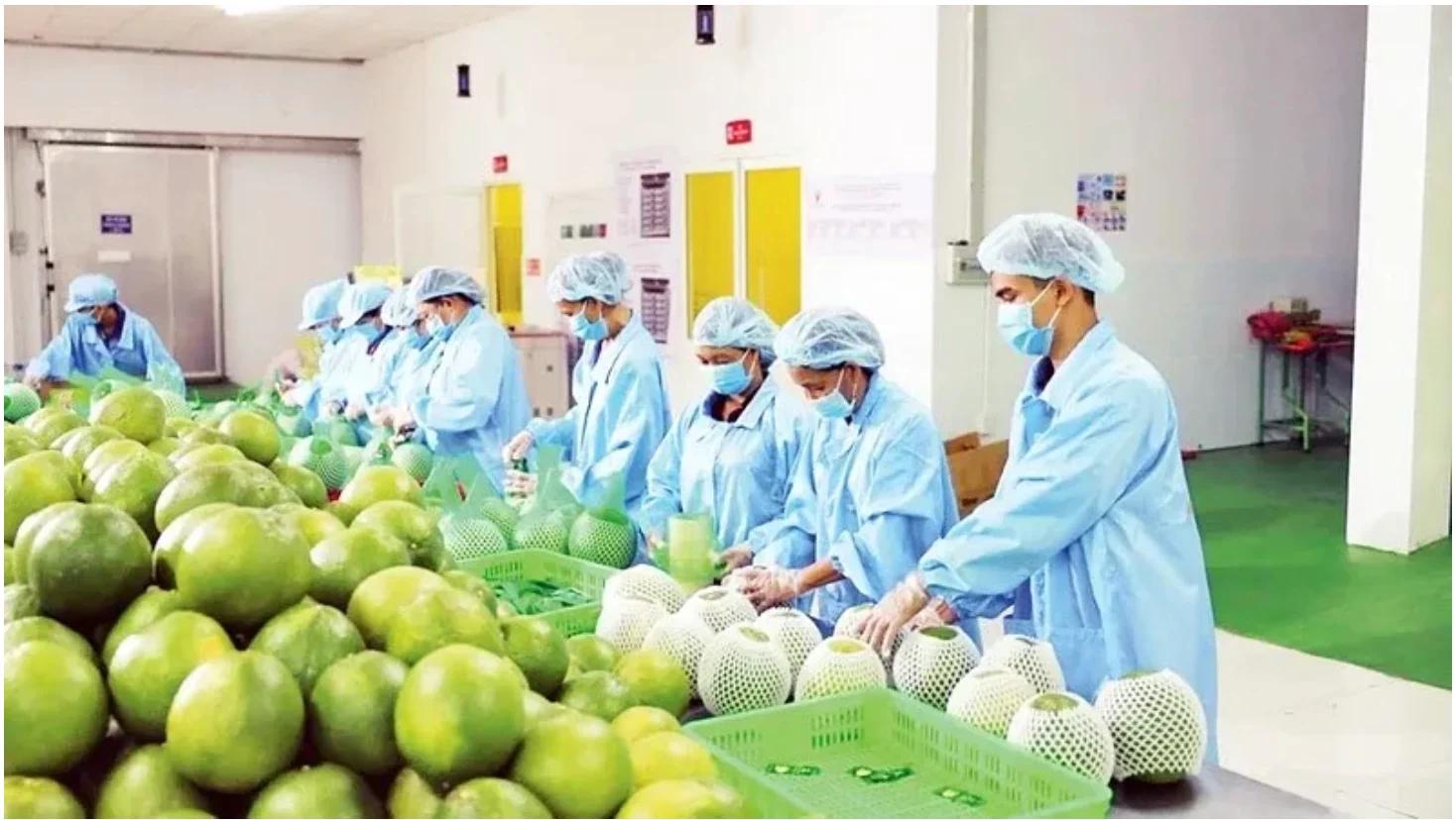 Nông nghiệp 2026: Nâng sức bền chất lượng hay vẫn chạy theo sản lượng?