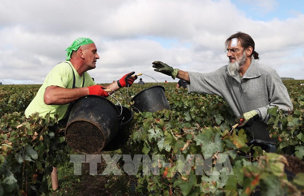 tai-tro-nong-nghiep-the-kho-cua-eu