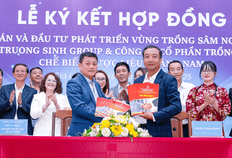 Trường Sinh Group bắt tay doanh nghiệp trồng sâm phát triển vùng trồng Sâm Ngọc Linh