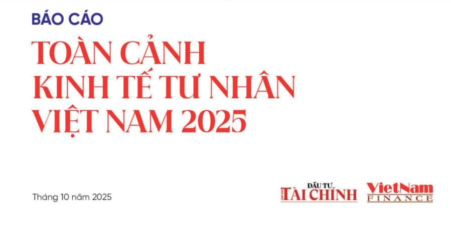 Báo cáo toàn cảnh kinh tế tư nhân Việt Nam 2025