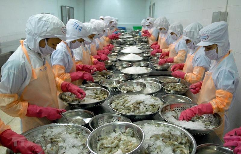 Xuất khẩu thủy sản tận dụng "thời gian vàng giãn thuế" phục hồi mạnh mẽ