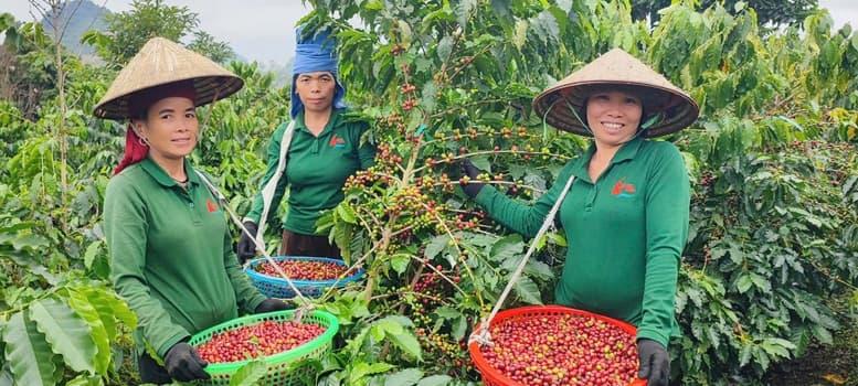 nghi-quyet-79-qua-goc-nhin-cua-doanh-nghiep-tu-nhan-dong-hanh-de-vuon-xa