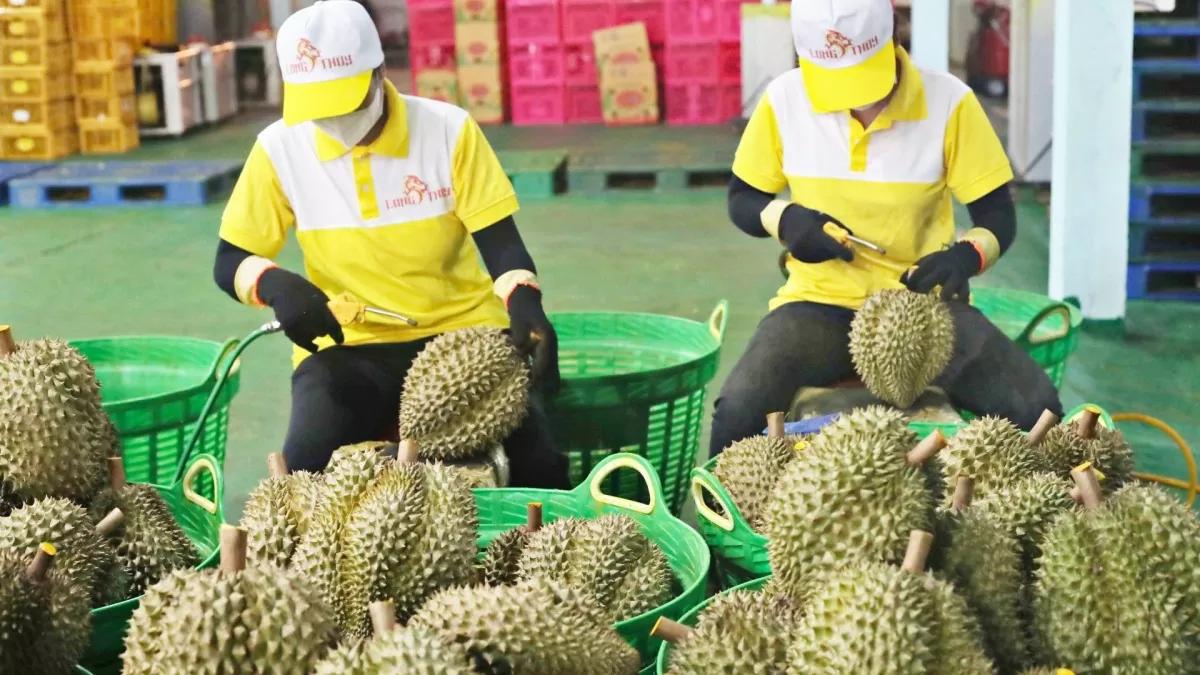 eu-siet-quy-dinh-voi-nong-san-doanh-nghiep-can-lam-gi