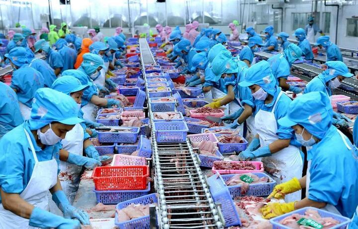 FTA Việt Nam - EFTA: ‘Chìa khóa’ mở rộng thương mại với thị trường Na Uy
