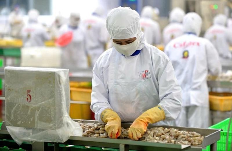 eu-so-hoa-chung-nhan-khai-thac-doanh-nghiep-thuy-san-can-luu-y-gi