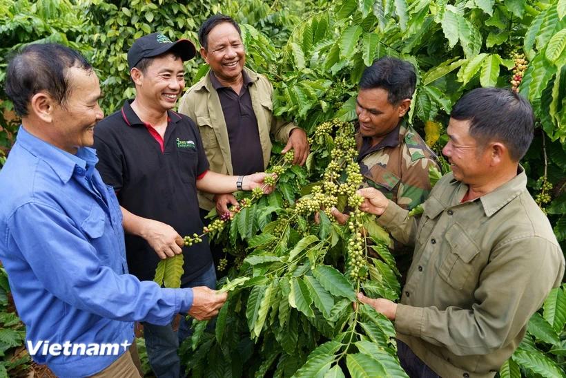 30 năm Nestlé đồng hành cùng người Việt trên hành trình phát triển bền vững