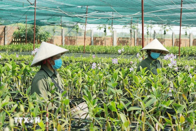 mo-rong-khong-gian-phat-trien-nganh-nong-nghiep-sau-hop-nhat